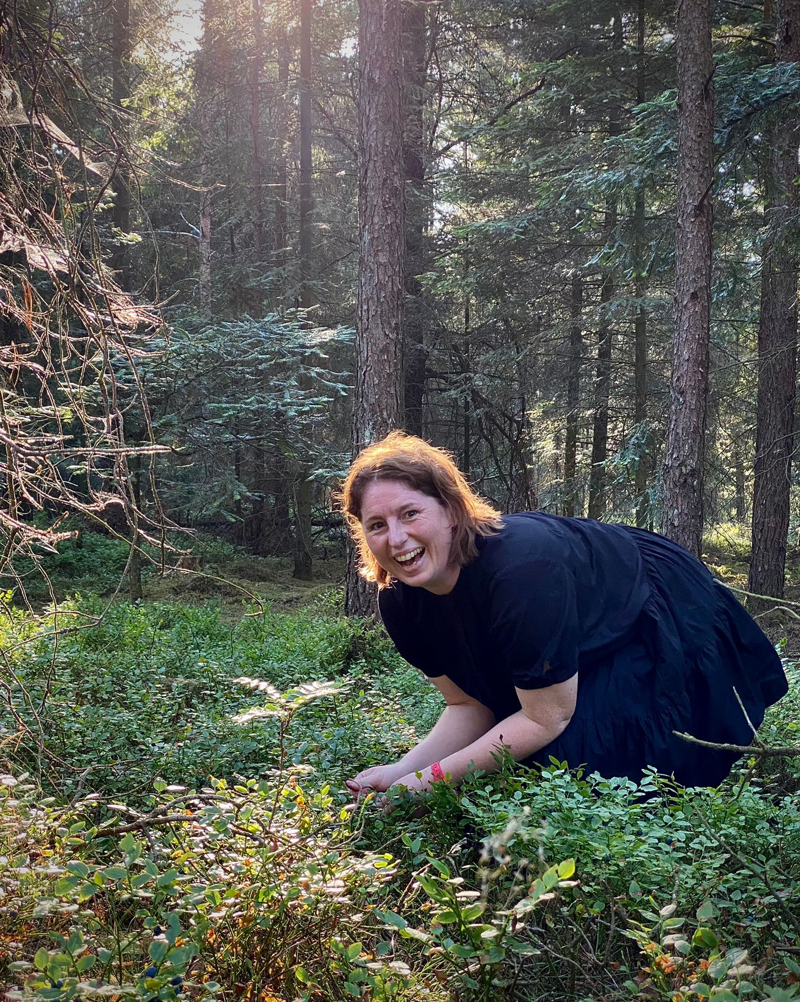 signe igang med at plukke blåbær